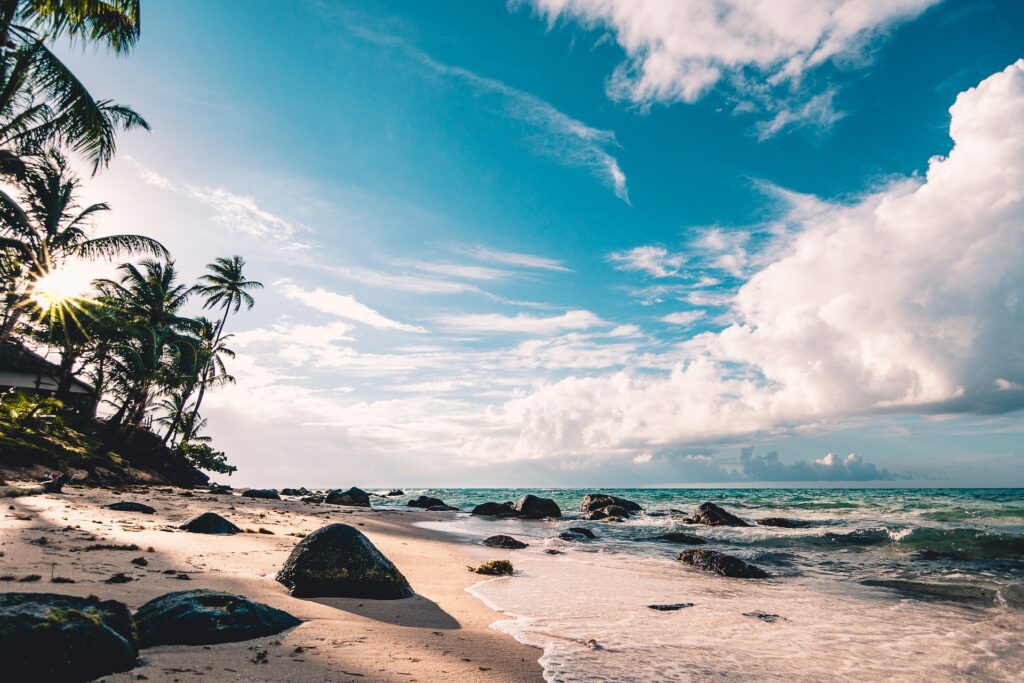 A beach with palm trees and rocks on the shore.